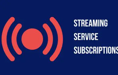 Streaming Service Subscriptions