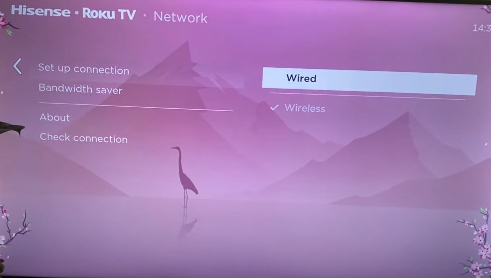 Hisense Roku Wired Connection