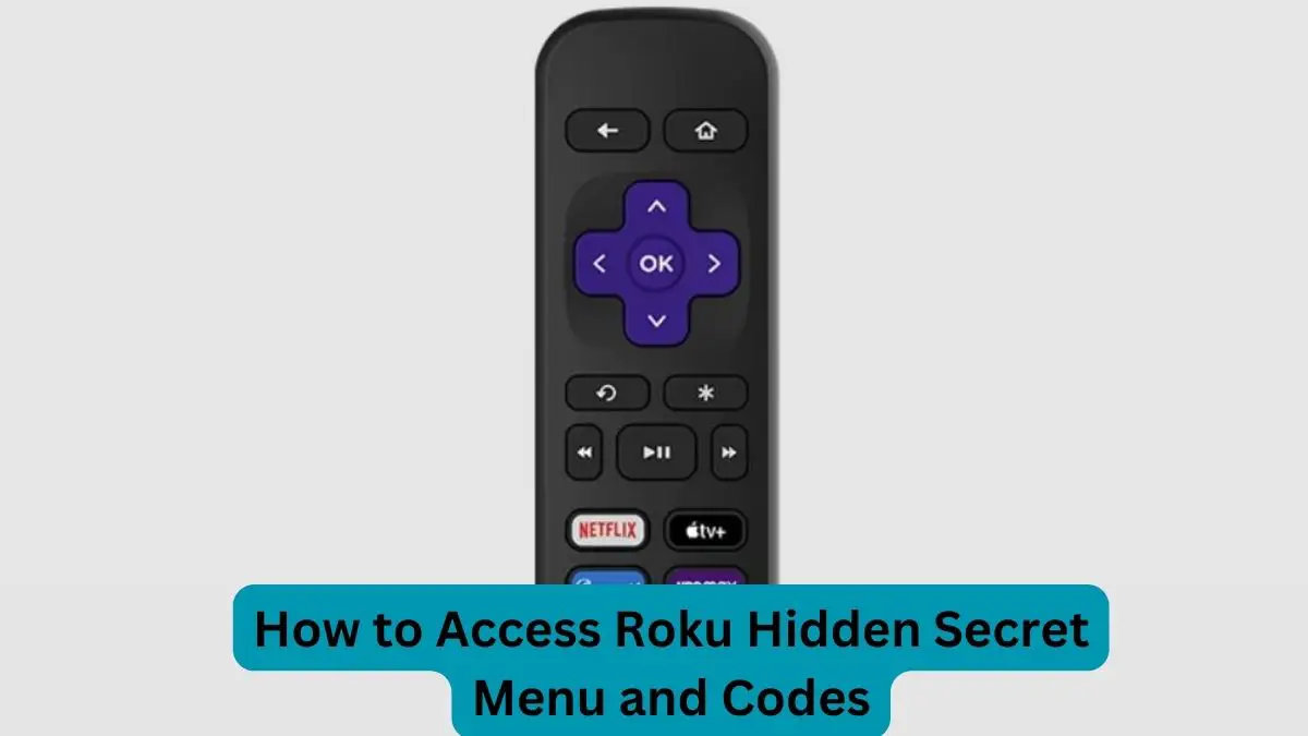 How to Access Roku Hidden Secret Menu and Codes