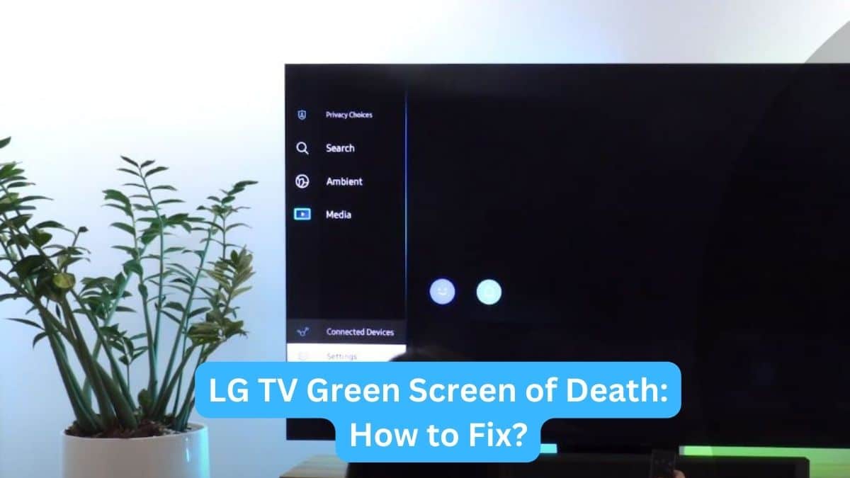 LG TV Green Screen of Death How to Fix