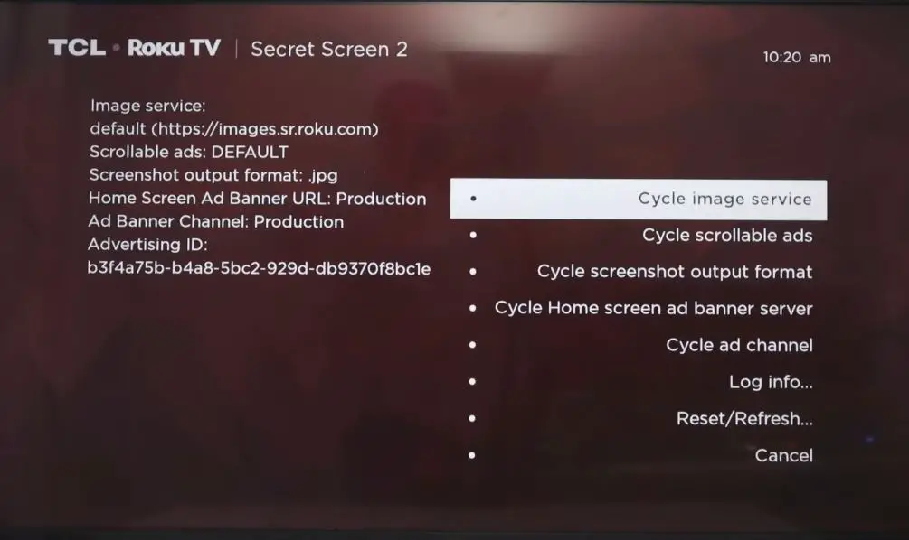 Roku Secret Screen 2