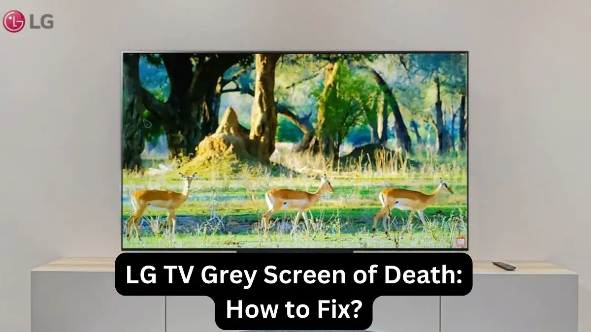 LG TV Grey Screen of Death